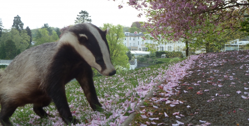 Bertie likes a bit of sight-seeing